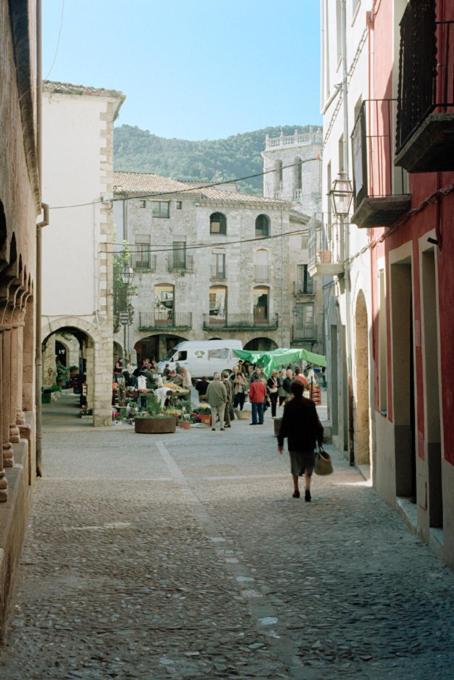 Apartamentos Saltarel-Lo Besalú Kültér fotó