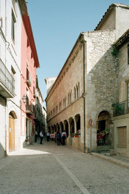Apartamentos Saltarel-Lo Besalú Kültér fotó
